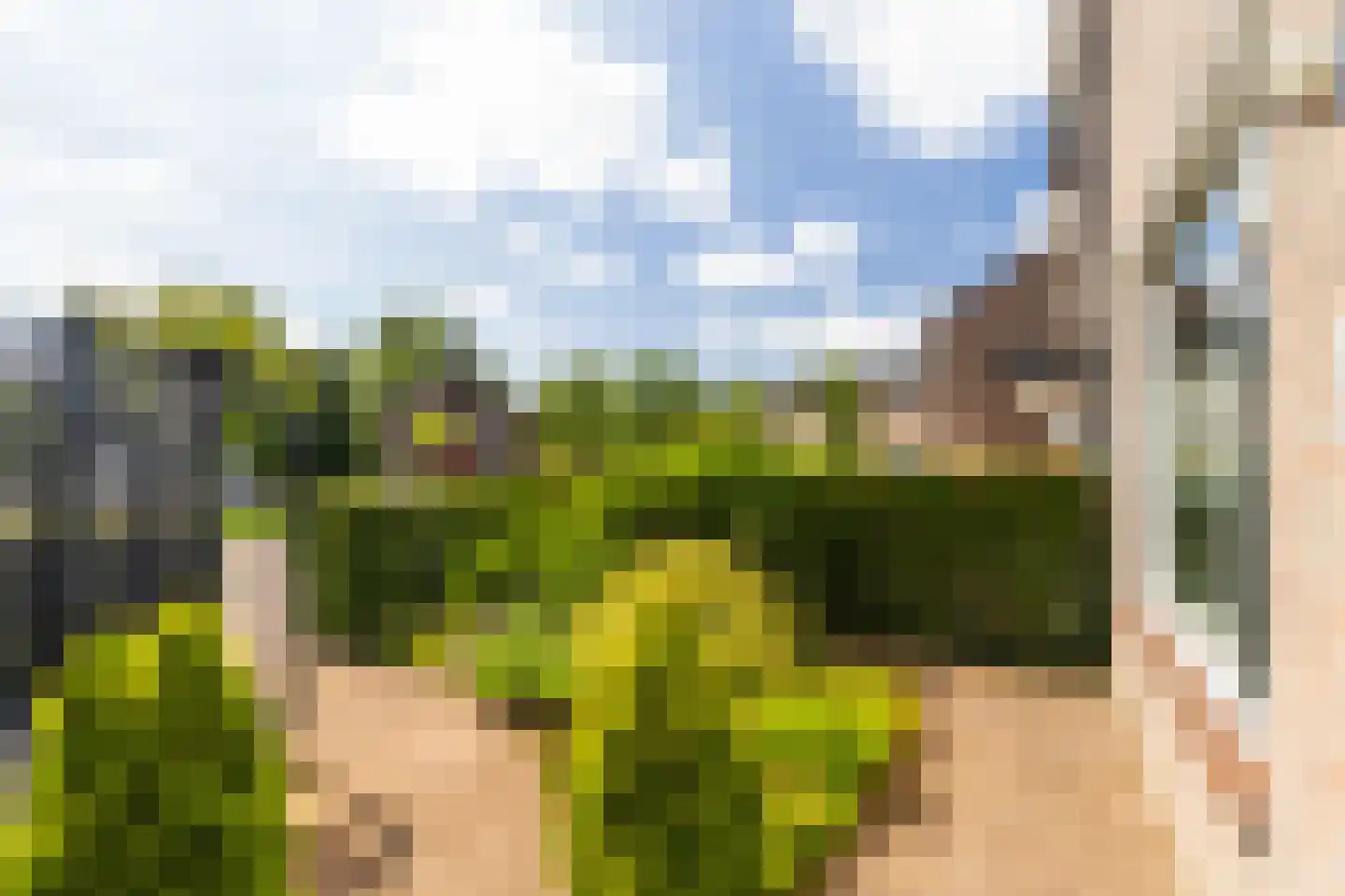 Havikenhof 21 Nijkerk thumbnail 38
