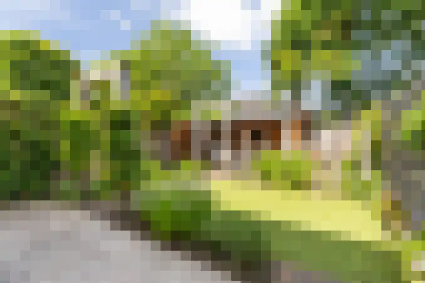 Havikenhof 21 Nijkerk thumbnail 4