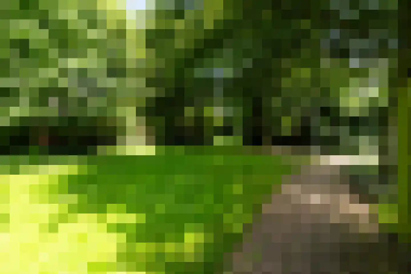 Havikenhof 21 Nijkerk thumbnail 40