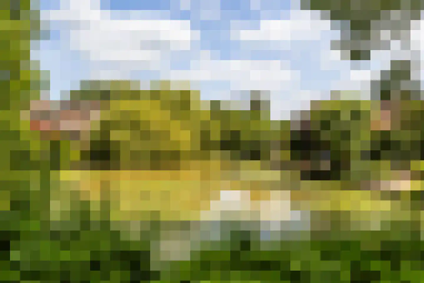 Havikenhof 21 Nijkerk thumbnail 42
