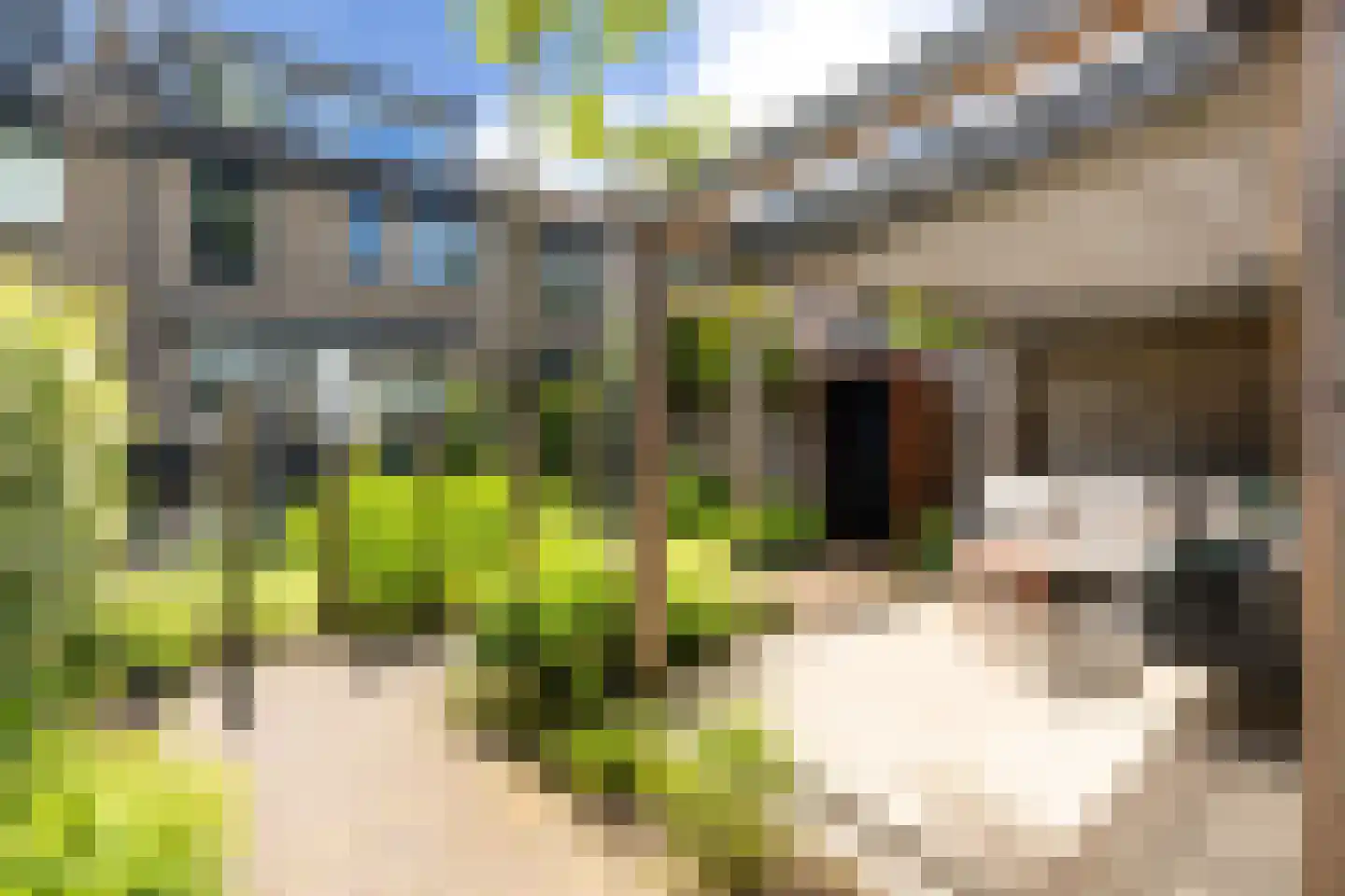 Havikenhof 21 Nijkerk thumbnail 5