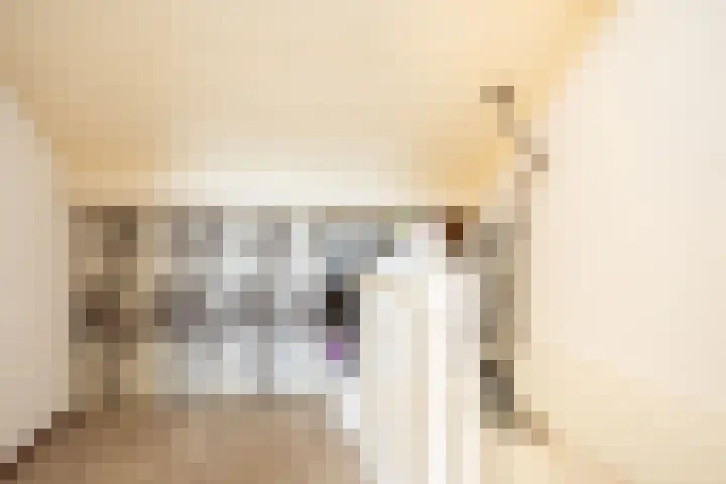 Havikenhof 22 Berkel en Rodenrijs thumbnail 36