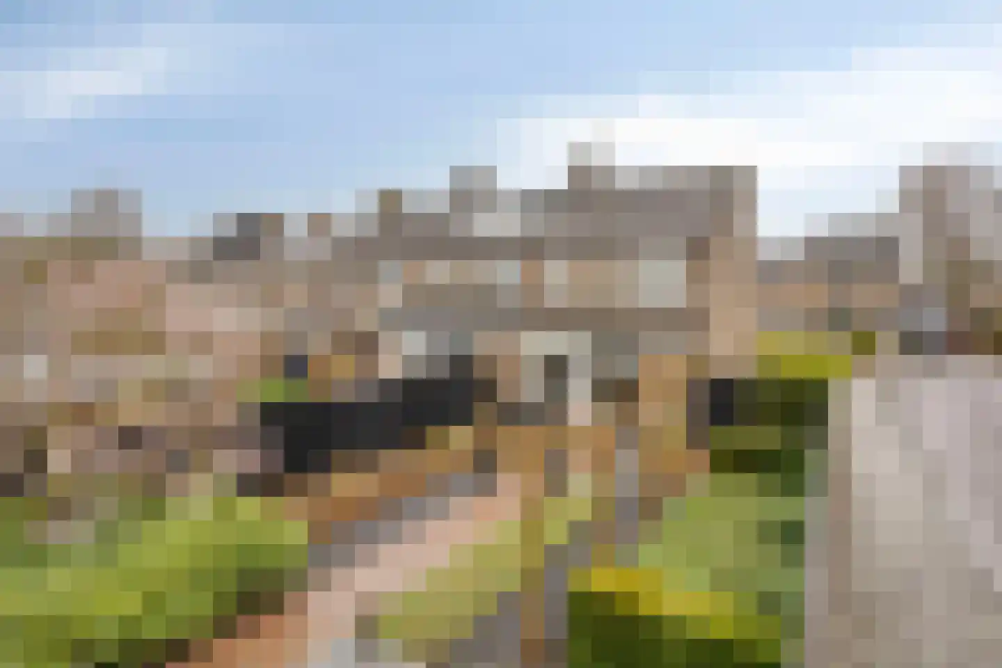 Havikenhof 39 Nijkerk thumbnail 39