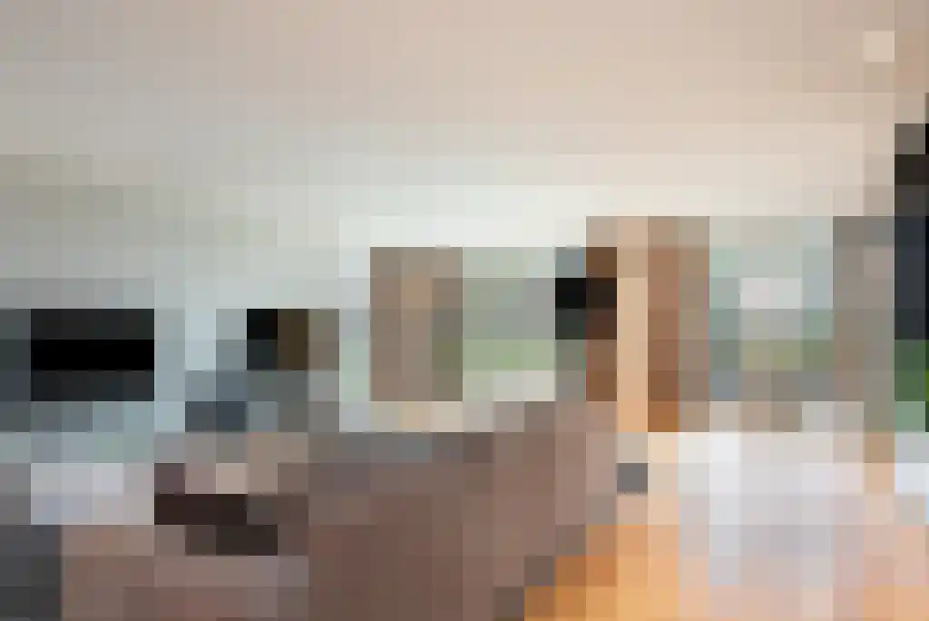 Havikerwaard 17 De Steeg thumbnail 4