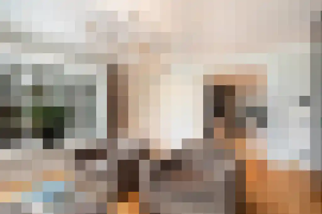 Havikerwaard 17 De Steeg thumbnail 5