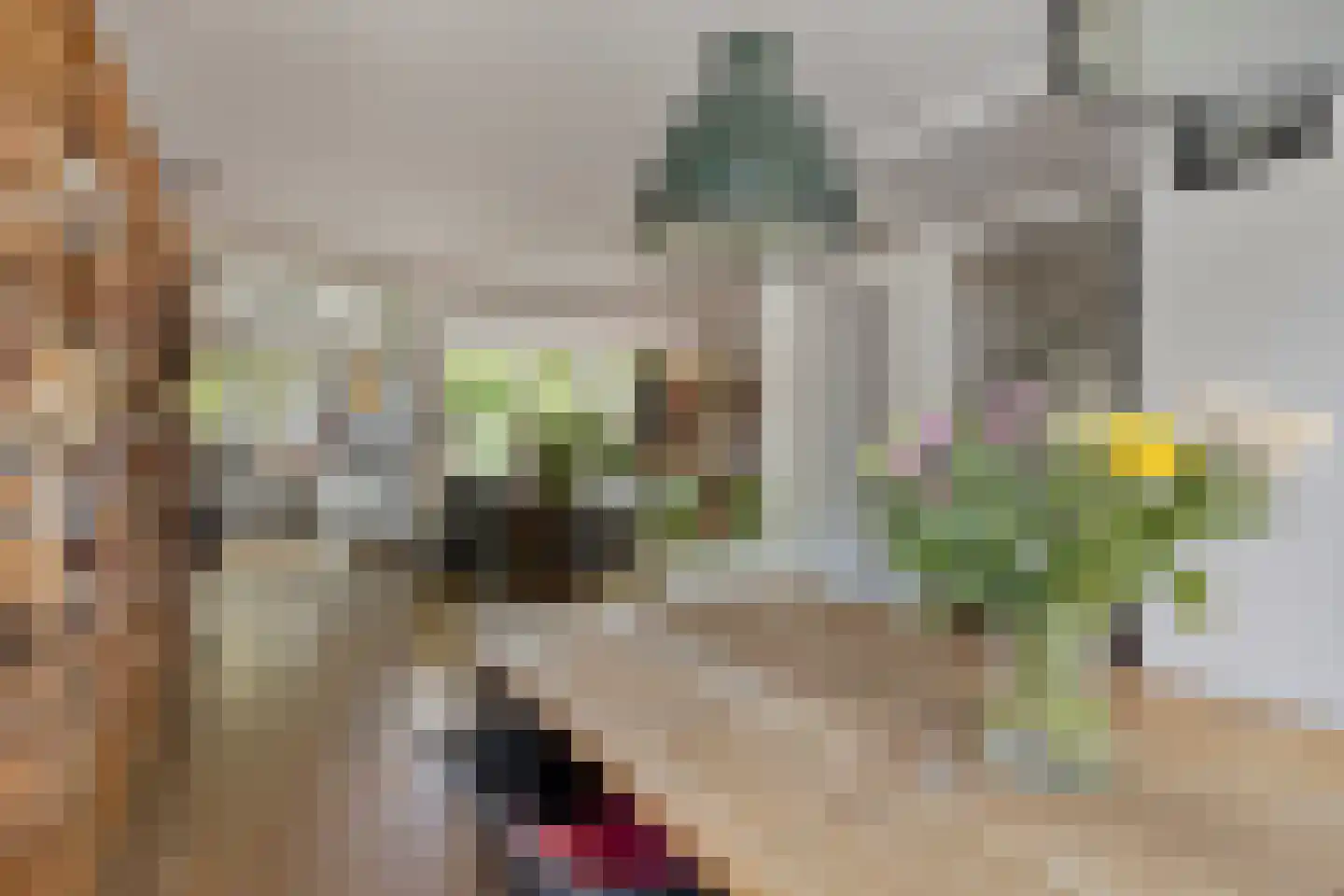 Havikhof 16 Heinkenszand thumbnail 11