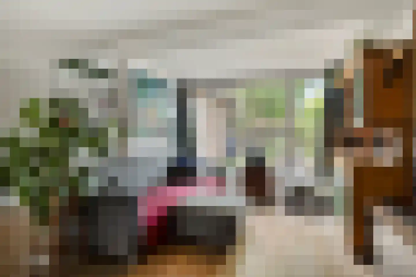 Havikhof 16 Heinkenszand thumbnail 15