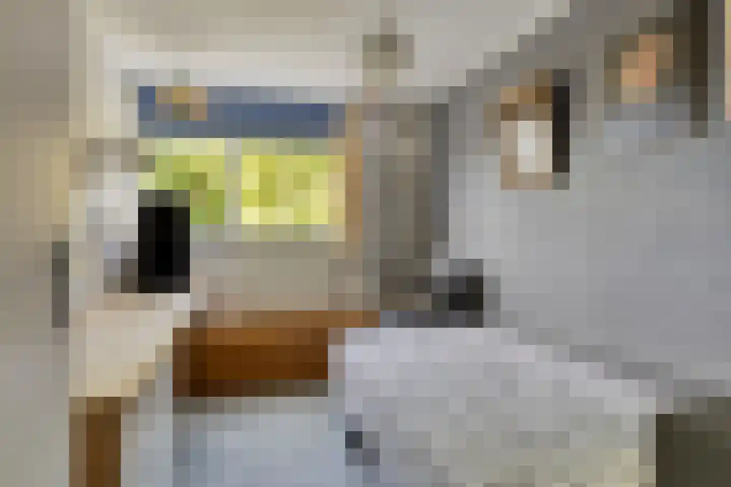 Havikhof 16 Heinkenszand thumbnail 30