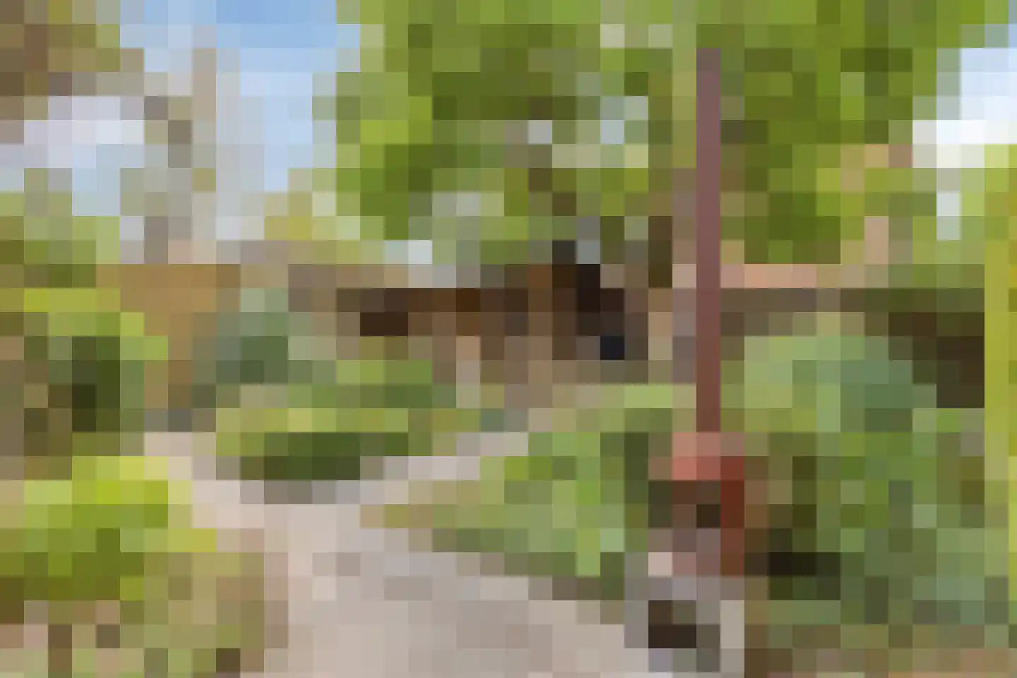 Havikhof 16 Heinkenszand thumbnail 40