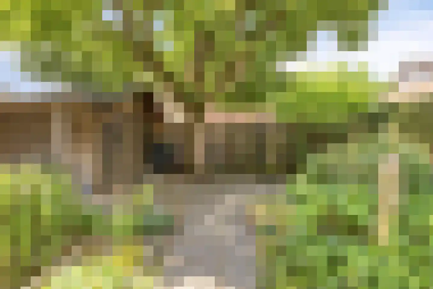 Havikhof 16 Heinkenszand thumbnail 41