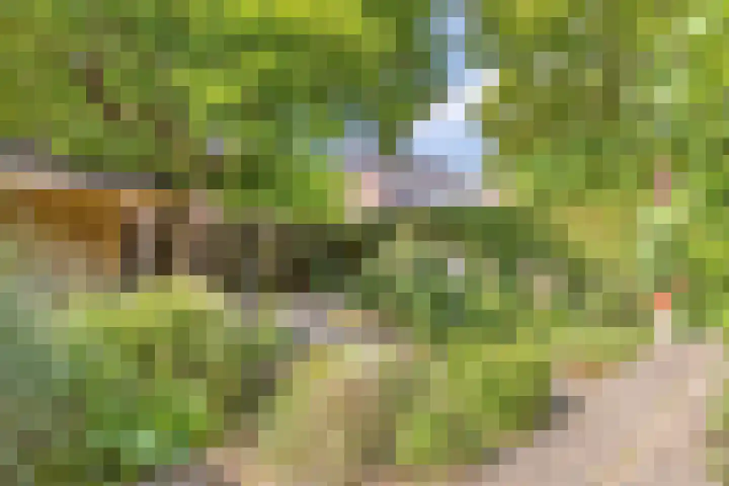 Havikhof 16 Heinkenszand thumbnail 42