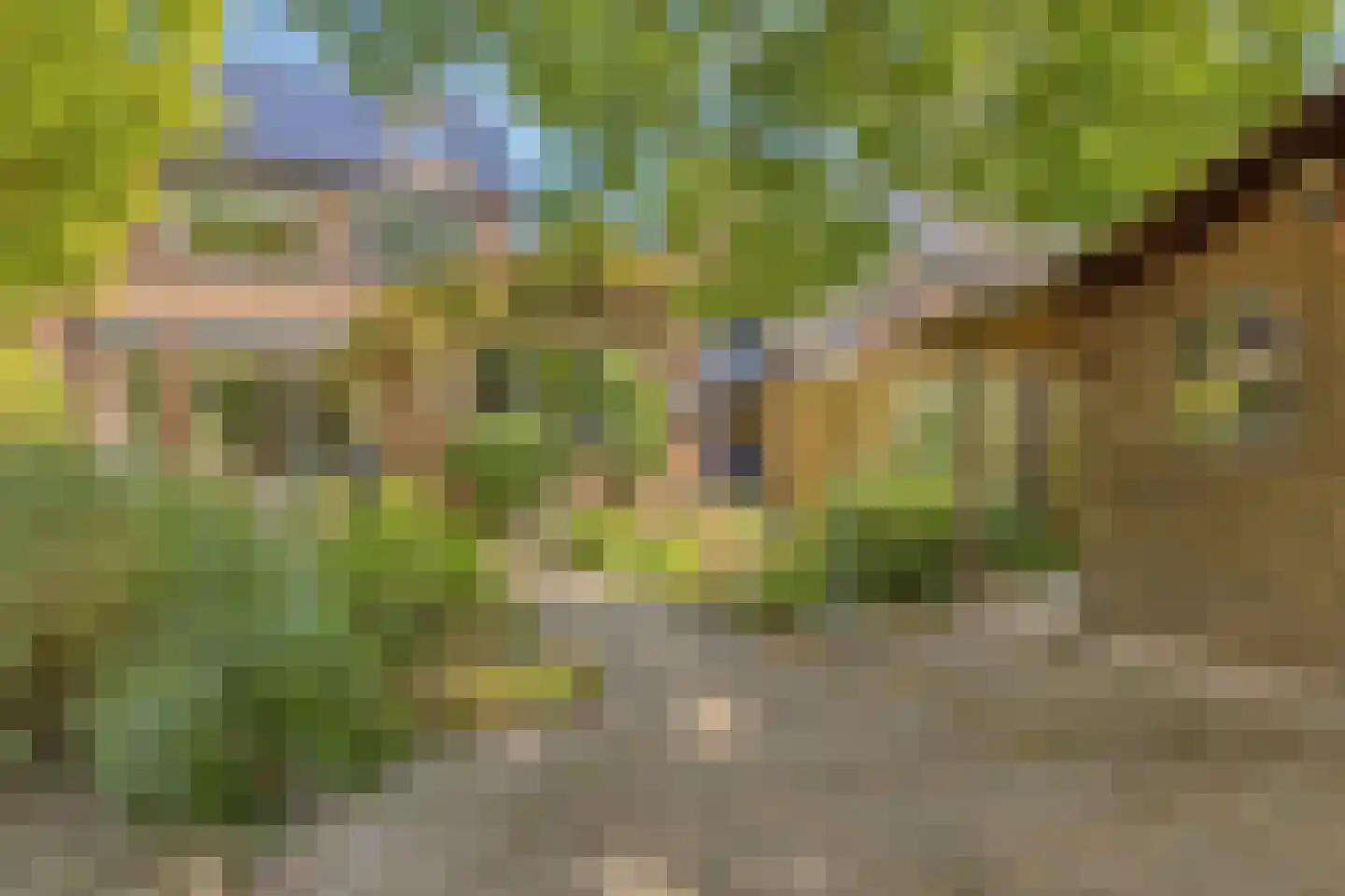 Havikhof 16 Heinkenszand thumbnail 44