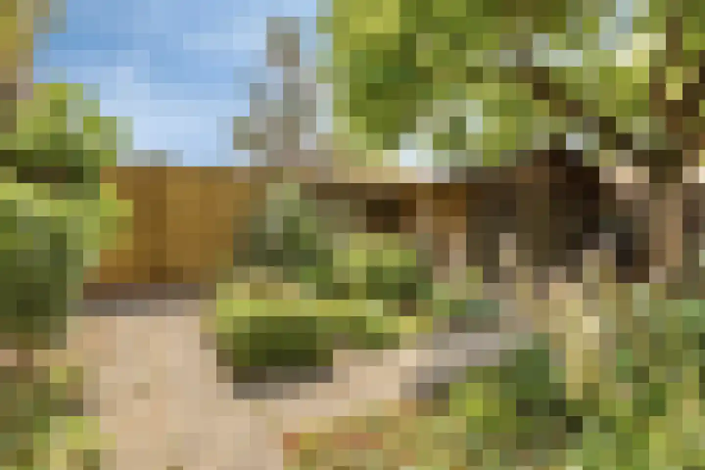 Havikhof 16 Heinkenszand thumbnail 46