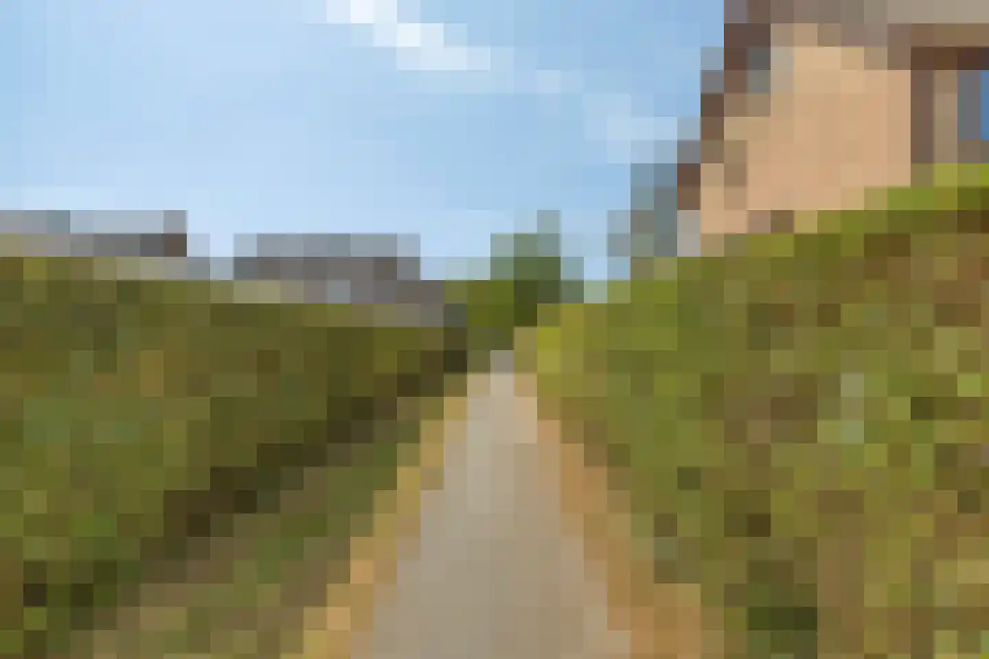 Havikhof 16 Heinkenszand thumbnail 47