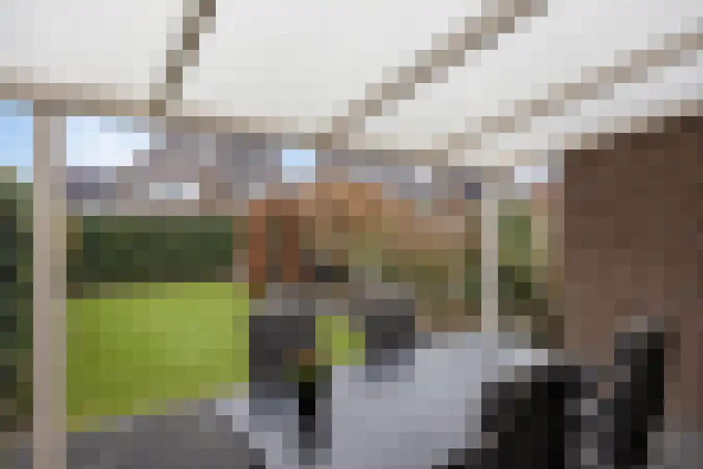 Haviklaan 14 Venray thumbnail 28