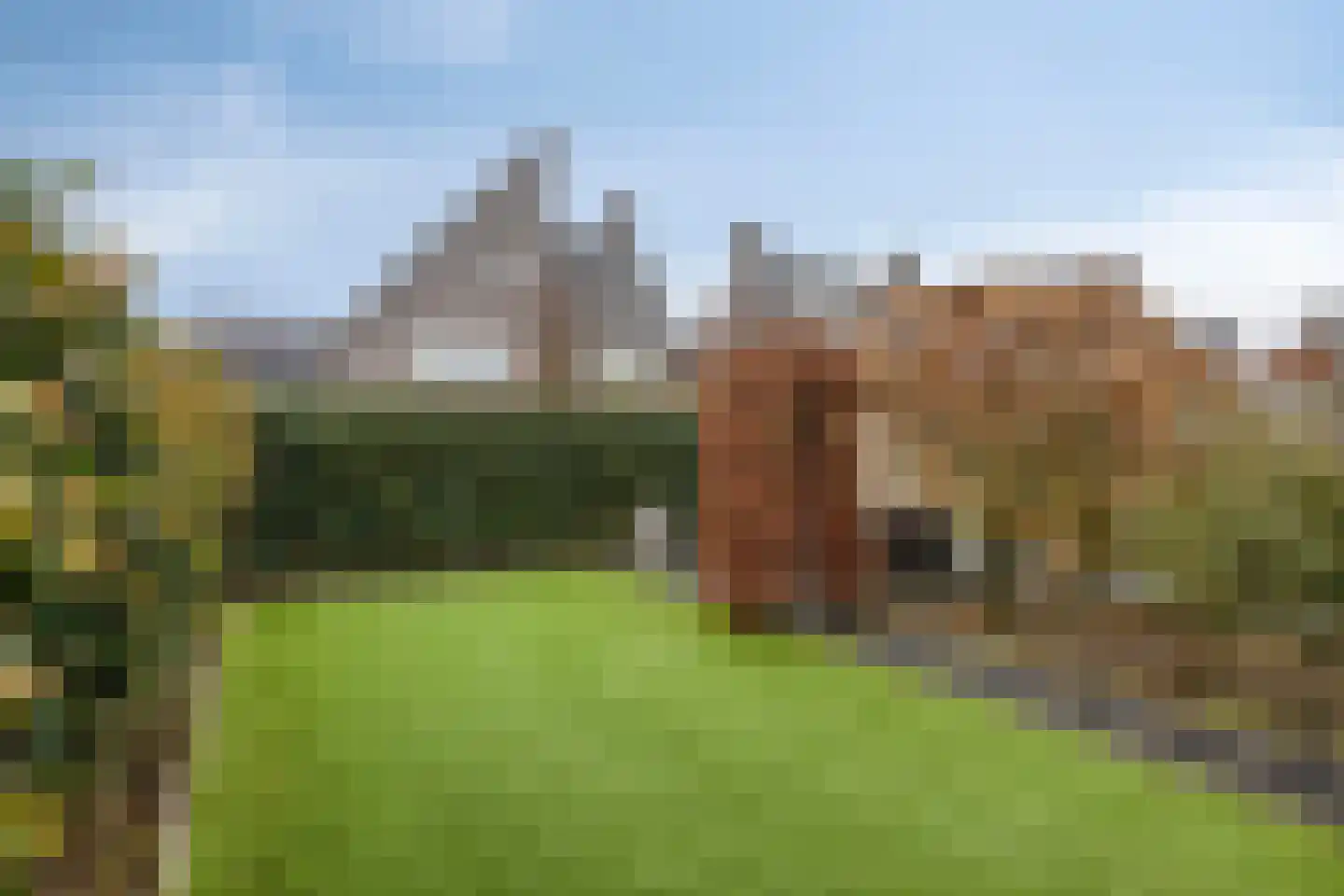 Haviklaan 14 Venray thumbnail 30