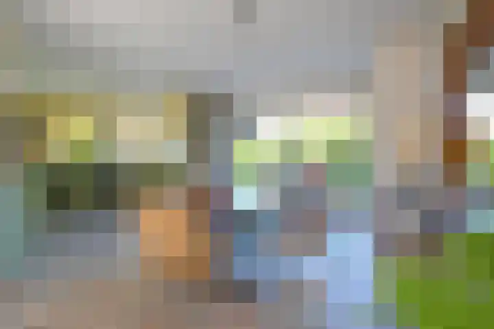 Haviklaan 15 Den Haag thumbnail 16