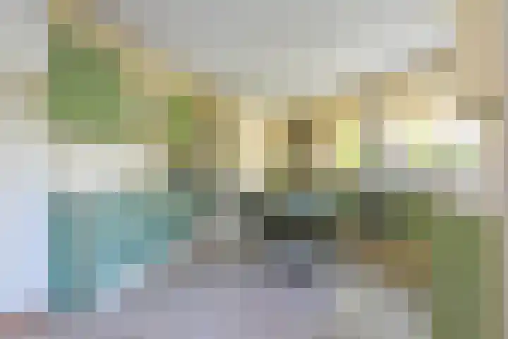 Haviklaan 15 Den Haag thumbnail 20