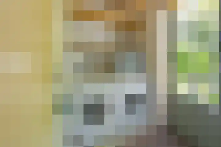 Haviklaan 15 Den Haag thumbnail 24