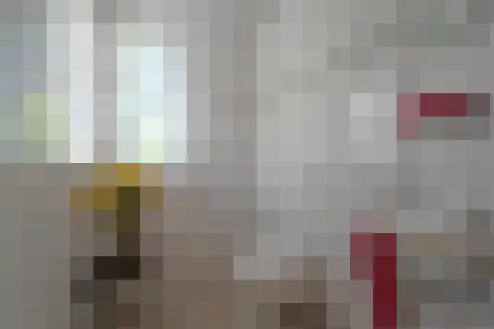 Haviklaan 15 Den Haag thumbnail 27