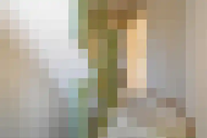 Haviklaan 15 Den Haag thumbnail 29