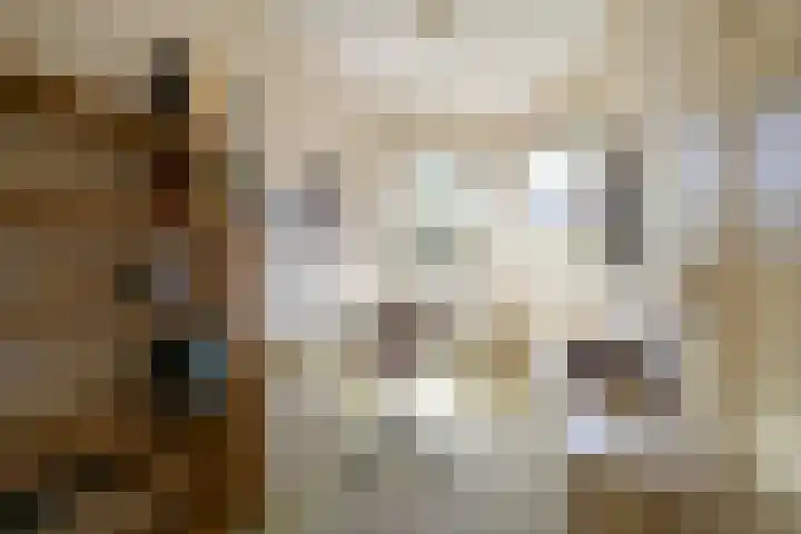 Haviklaan 15 Den Haag thumbnail 30