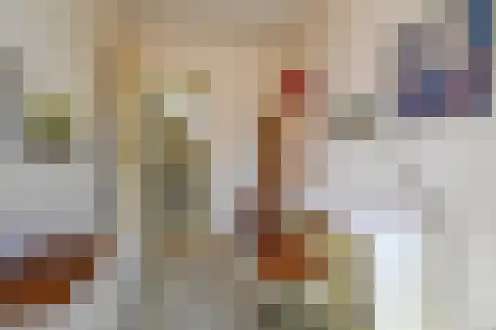 Haviklaan 15 Den Haag thumbnail 31