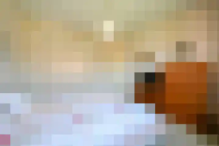 Haviklaan 15 Den Haag thumbnail 33
