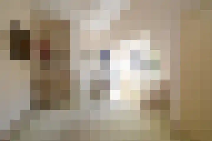 Haviklaan 15 Den Haag thumbnail 34