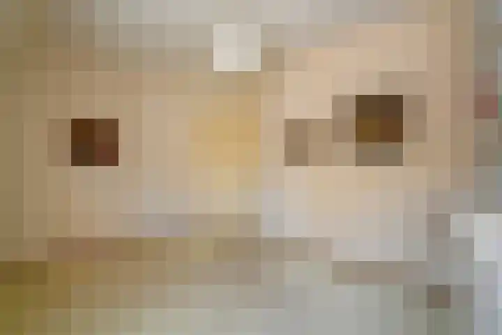 Haviklaan 15 Den Haag thumbnail 35