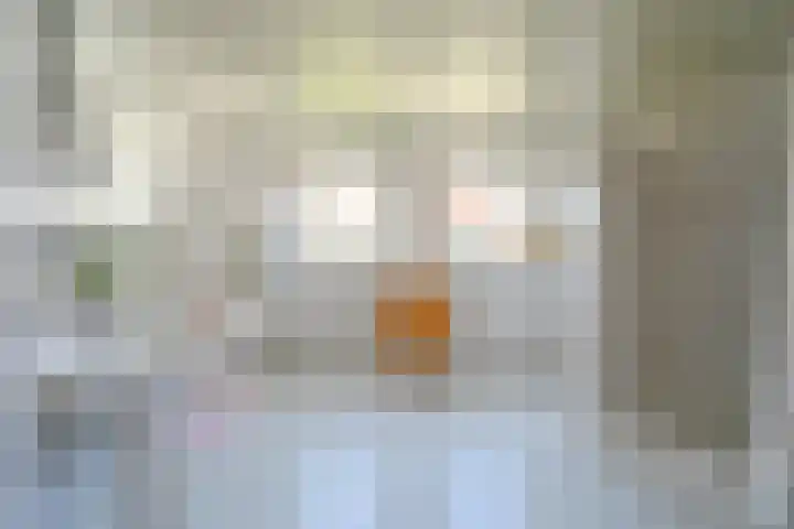 Haviklaan 15 Den Haag thumbnail 36