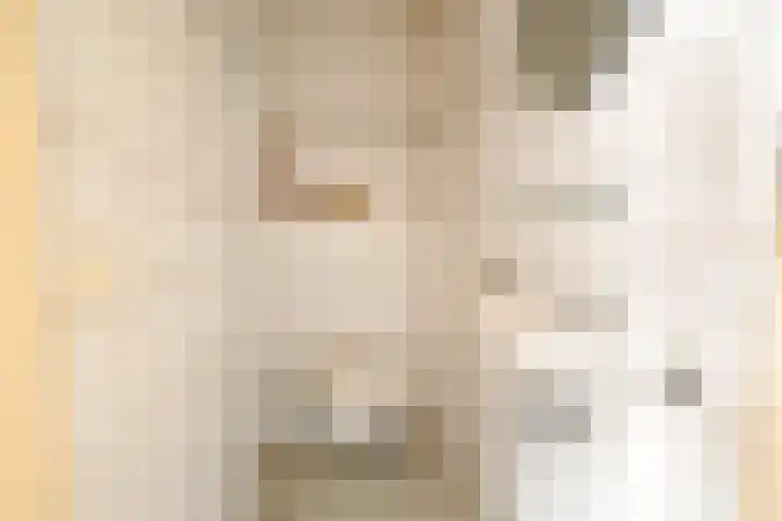 Haviklaan 15 Den Haag thumbnail 39