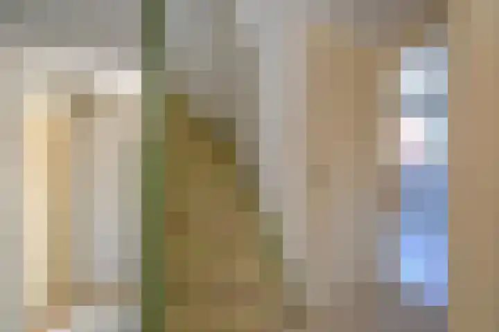 Haviklaan 15 Den Haag thumbnail 40