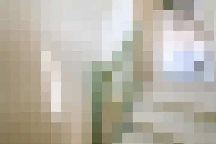Haviklaan 15 Den Haag thumbnail 41