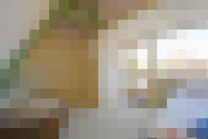 Haviklaan 15 Den Haag thumbnail 43