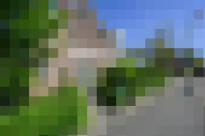 Haviklaan 15 Den Haag thumbnail 6