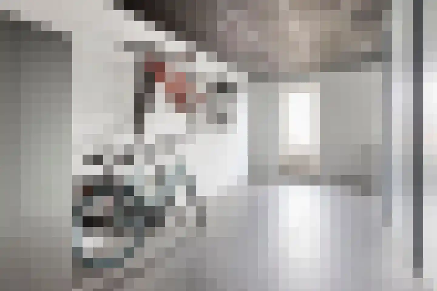 Haviklaan 16 Venray thumbnail 35