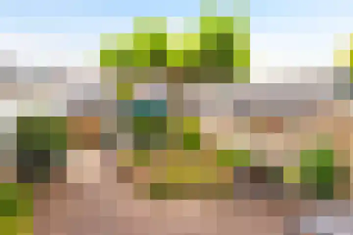 Haviklaan 18 Dieren thumbnail 16