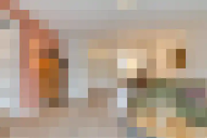Haviklaan 20 Venray thumbnail 10