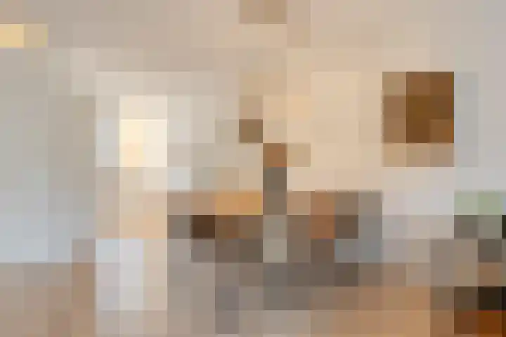 Haviklaan 20 Venray thumbnail 12