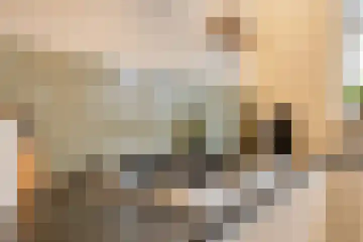 Haviklaan 20 Venray thumbnail 17