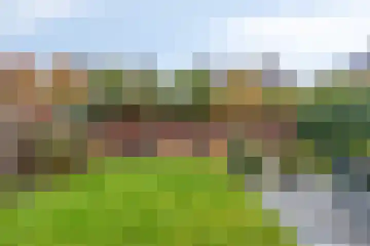 Haviklaan 20 Venray thumbnail 41
