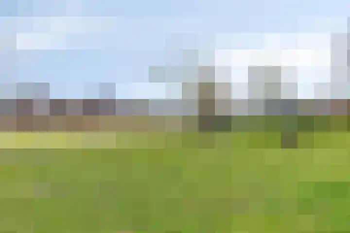 Haviklaan 20 Venray thumbnail 50