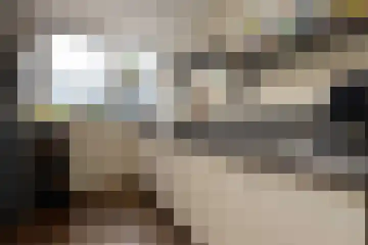 Haviklaan 21 Dieren thumbnail 10