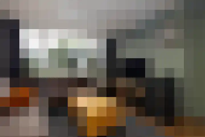 Haviklaan 21 Dieren thumbnail 14