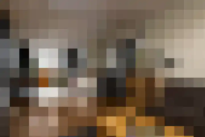 Haviklaan 21 Dieren thumbnail 15