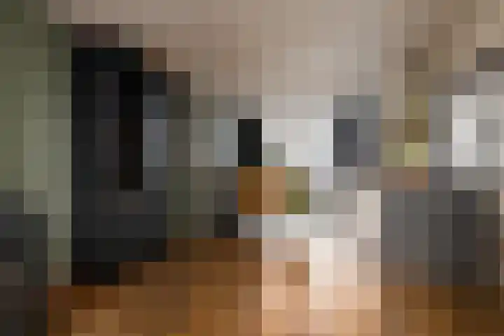 Haviklaan 21 Dieren thumbnail 16