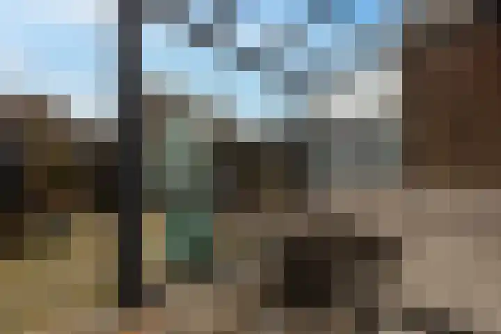 Haviklaan 21 Dieren thumbnail 17