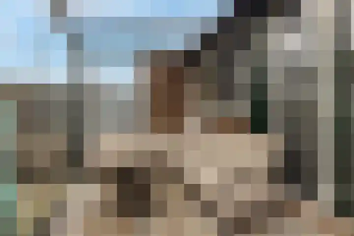 Haviklaan 21 Dieren thumbnail 18