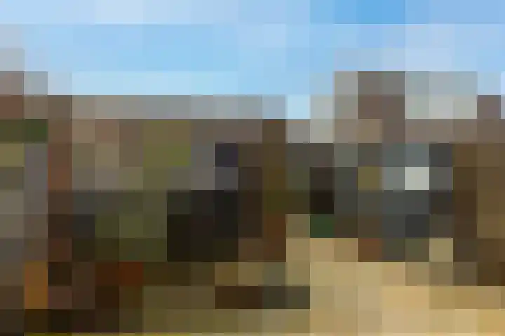Haviklaan 21 Dieren thumbnail 19
